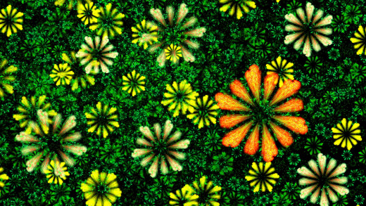 1755895 (a): :2560x1440